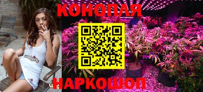 гидра Прохладный