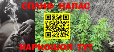 гидра Прохладный