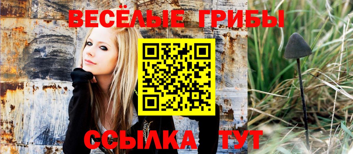 купить  цена  Вход с VPN  Галлюциногенные грибы Cubensis  Минусинск  Галлюциногенные грибы мухоморы 