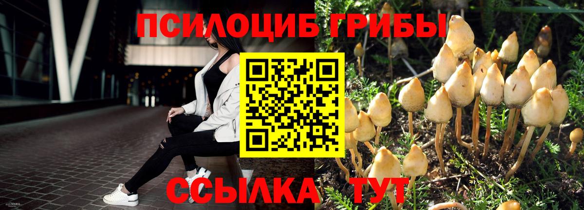 Псилоцибиновые грибы прущие грибы Минусинск